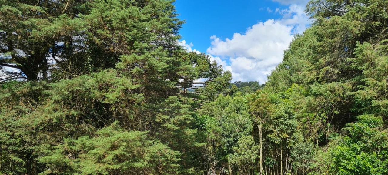 Arado 313 Suites Monte Verde  Dış mekan fotoğraf